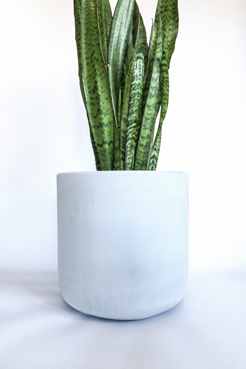 betonowa osłonka BABY BLUE ręcznie robiona, jakość premium Zielona Flora 1.png