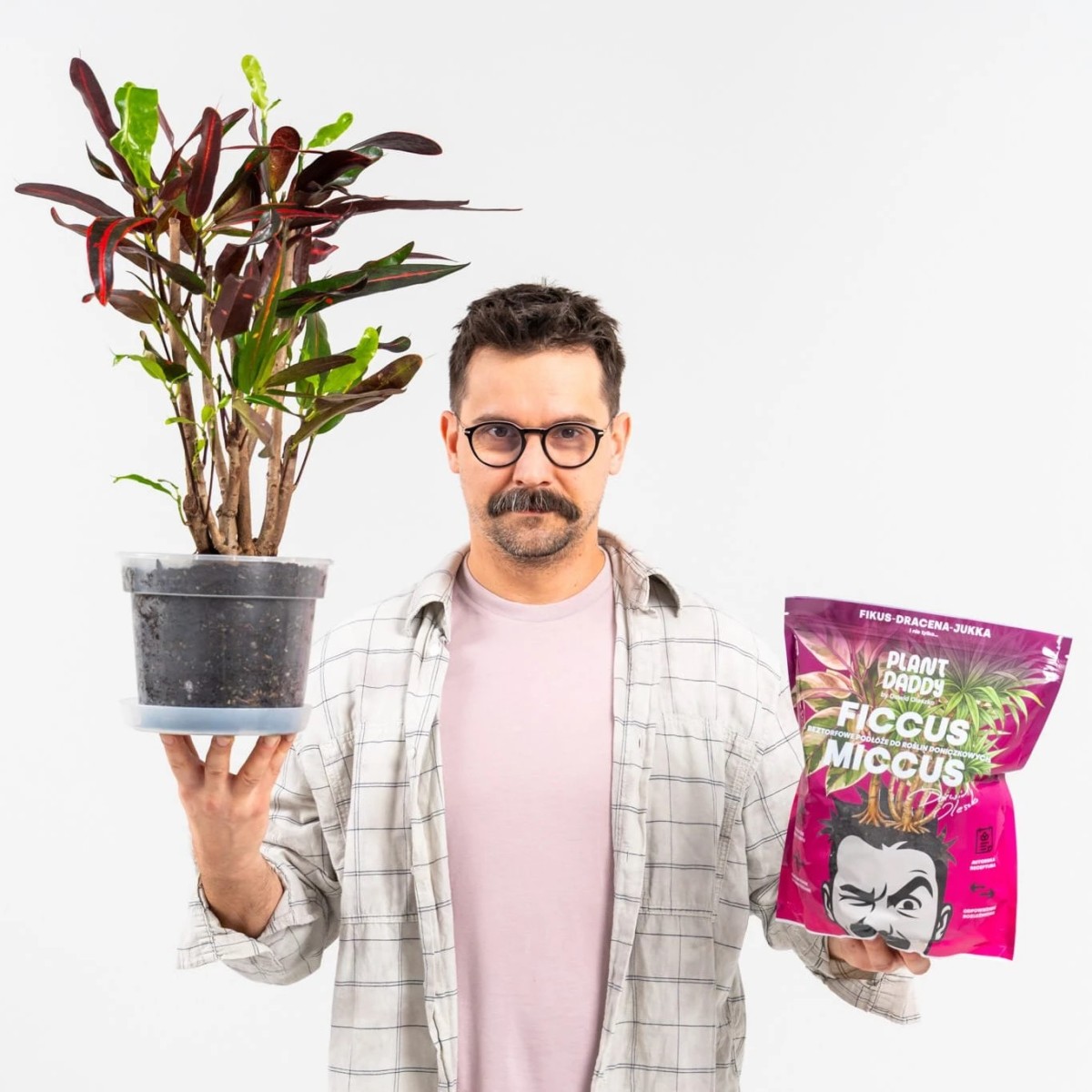 gotowe-podloze-do-ficus-lyrata-i-elastica.jpg
