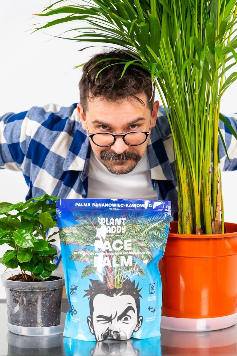 lekkie-podloze-do-areki-i-kentii-face-palm.jpg
