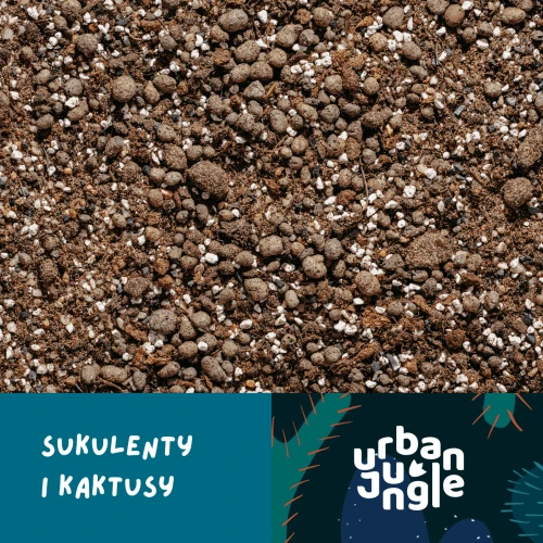 PODŁOŻE SPECJALISTYCZNE do sukulentów i kaktusów, Urban Jungle