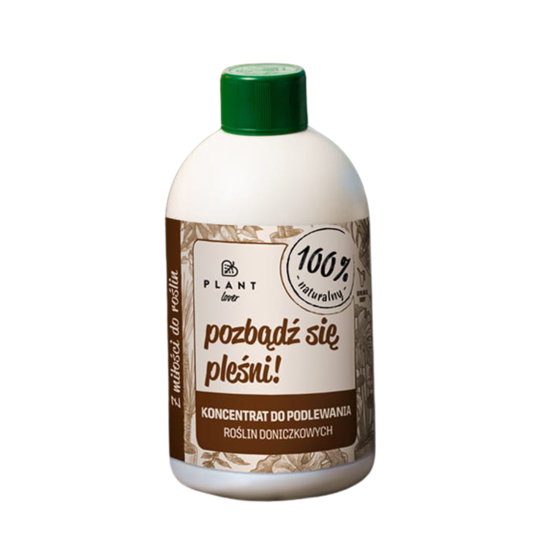 jak pozbyć się pleśni - zdjęcie 4