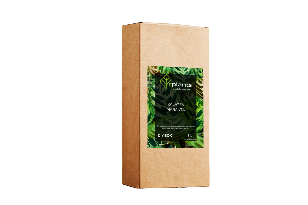 Nawóz do rośliny Calathea zdjęcie 2