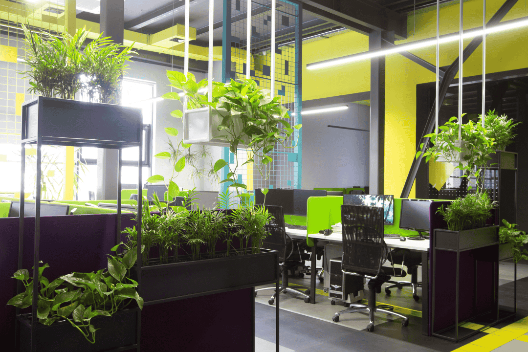 Rośliny do biura zdjęcie 2