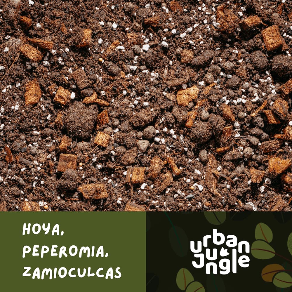 Gwarancja jakości podłoża Urban Jungle do hoi, peperomii i zamiokulkasa.