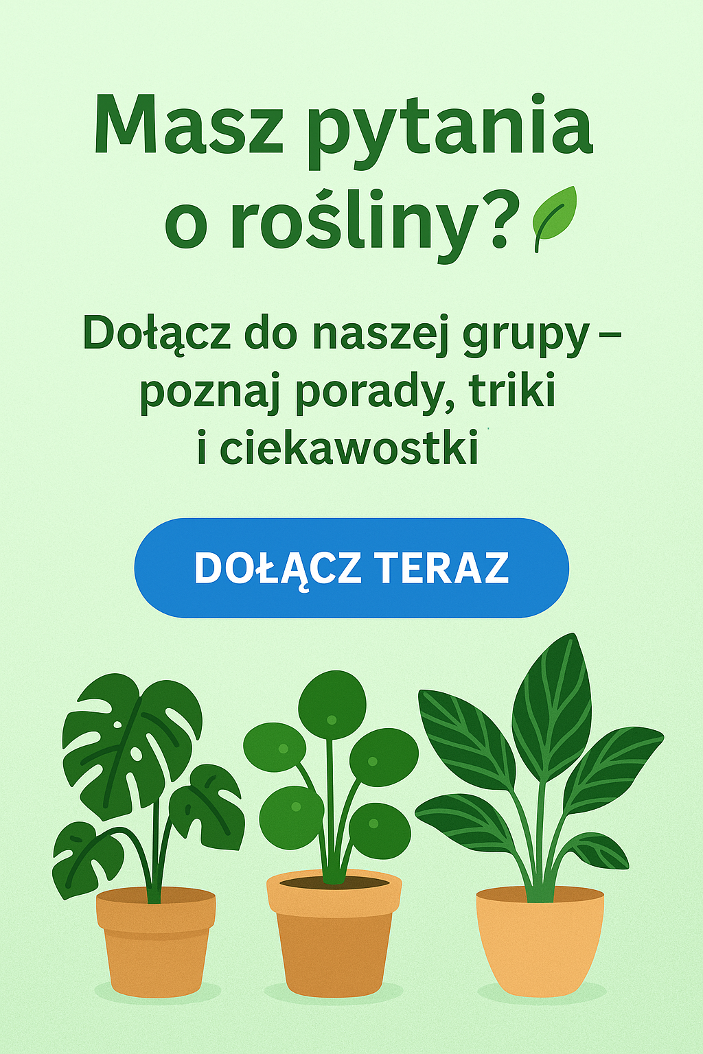 Zobacz jak pielęgnować rośliny dołącz do naszej grupy