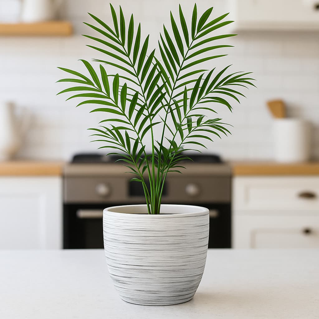Osłonka ceramiczna NOVA – biało-czarna