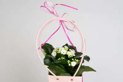 Białe kalanchoe w różowym koszyku - elegancki prezent dla mamy lub babci